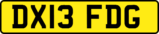 DX13FDG