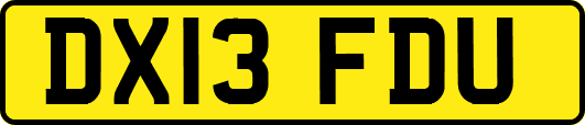 DX13FDU