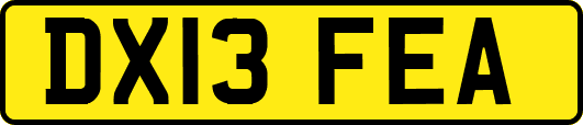 DX13FEA