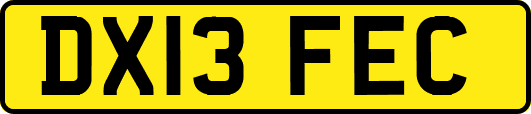 DX13FEC