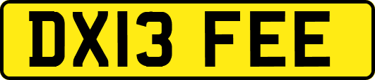 DX13FEE
