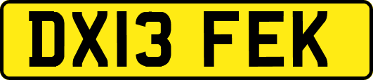 DX13FEK