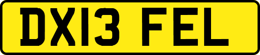 DX13FEL