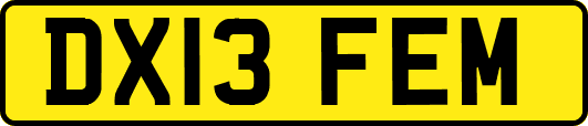 DX13FEM