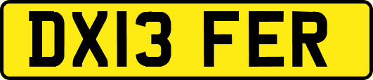 DX13FER