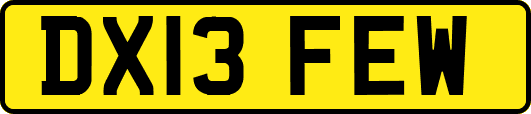 DX13FEW