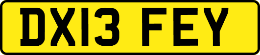 DX13FEY