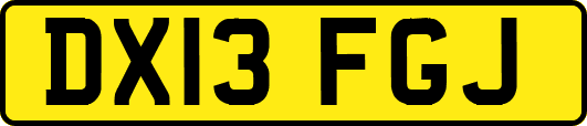 DX13FGJ