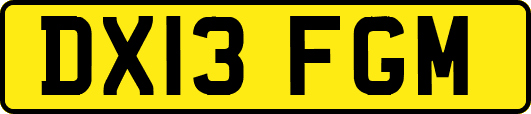 DX13FGM