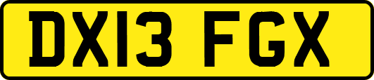 DX13FGX