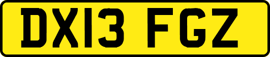 DX13FGZ
