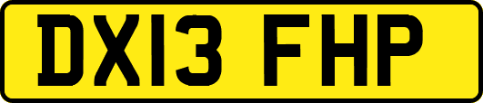DX13FHP
