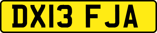 DX13FJA
