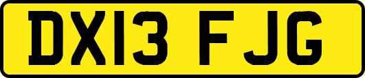 DX13FJG