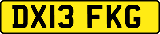 DX13FKG