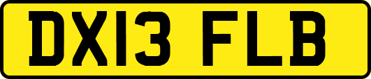DX13FLB