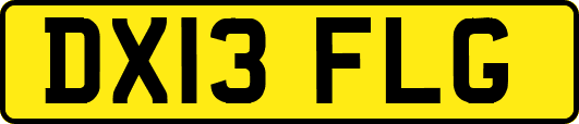 DX13FLG