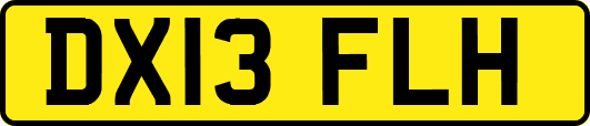 DX13FLH