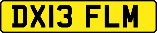 DX13FLM