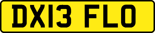 DX13FLO