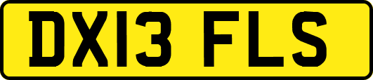 DX13FLS