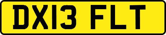 DX13FLT