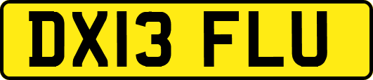 DX13FLU