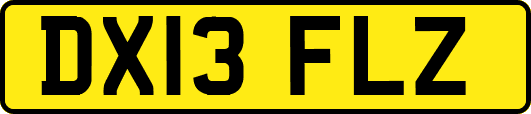 DX13FLZ