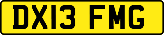 DX13FMG