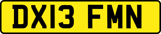 DX13FMN
