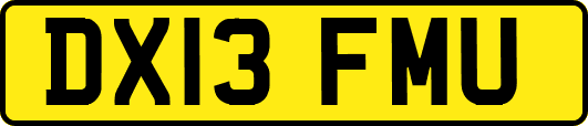 DX13FMU