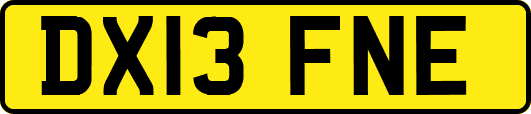 DX13FNE