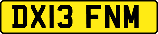 DX13FNM