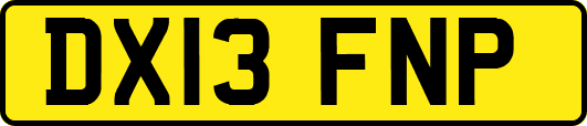 DX13FNP