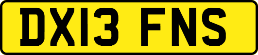 DX13FNS