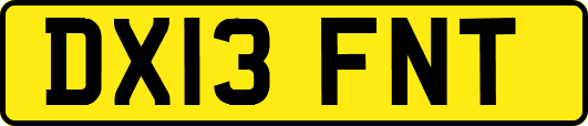 DX13FNT