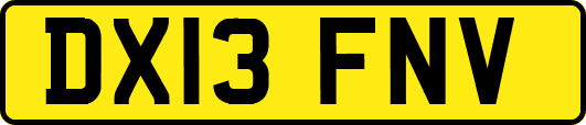DX13FNV