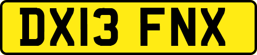 DX13FNX