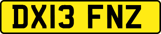 DX13FNZ