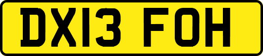 DX13FOH