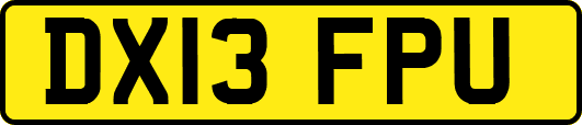 DX13FPU