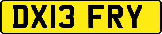 DX13FRY