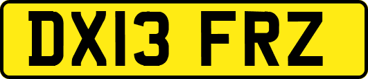 DX13FRZ