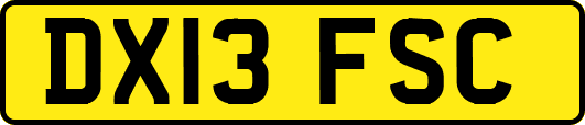 DX13FSC