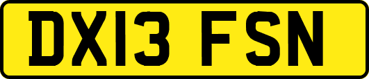 DX13FSN