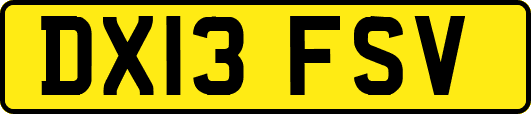 DX13FSV