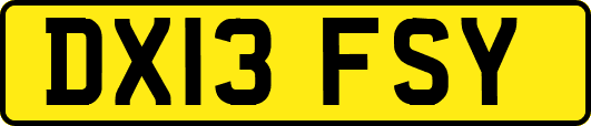 DX13FSY