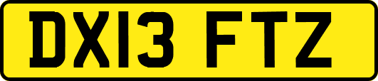 DX13FTZ