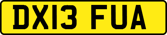 DX13FUA