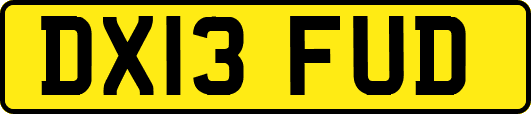 DX13FUD
